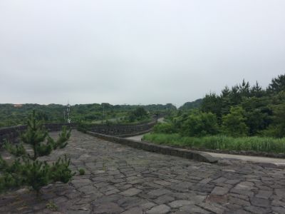 돌담 · 2016.06.21